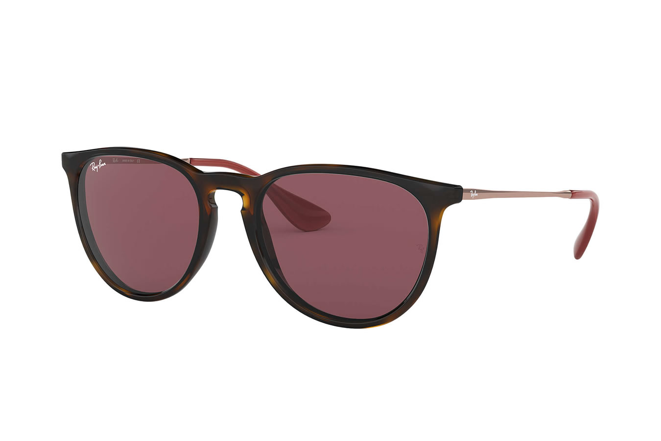 RAY BAN Erika with Tortoise Frames and Dark Violet Lenses